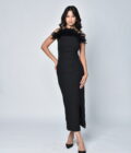 Black Dress with Feathers