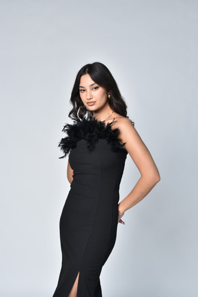 Black Dress with Feathers
