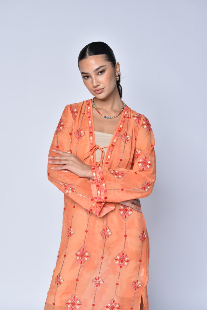 Orange Dress with embroidery